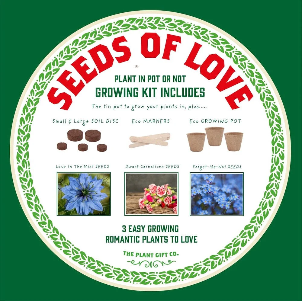 Seeds of Love Growing Kit by The Plant Gift Co. - Image 7