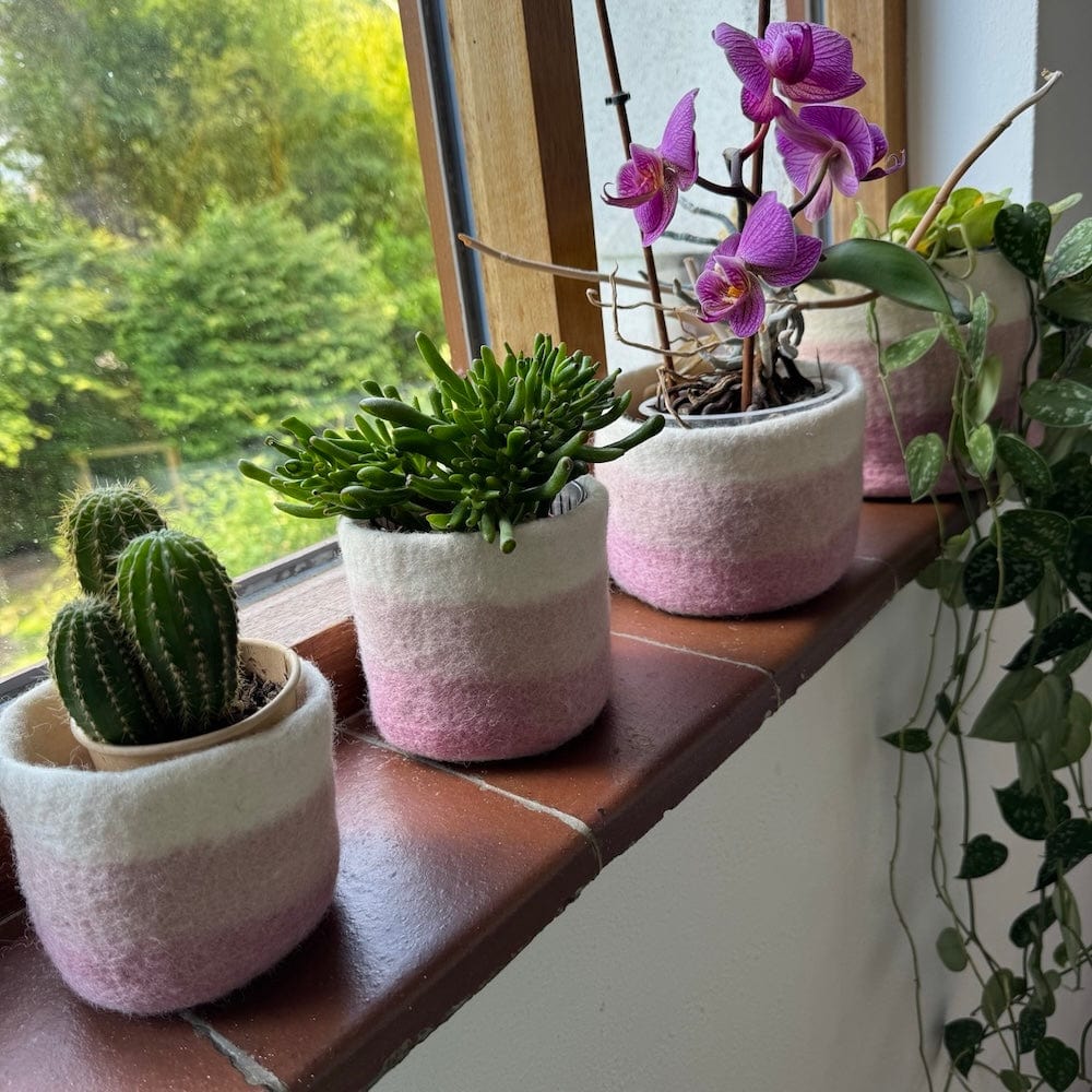 Striped Wool Felt Plant Pot Cover - Pinks - Image 2