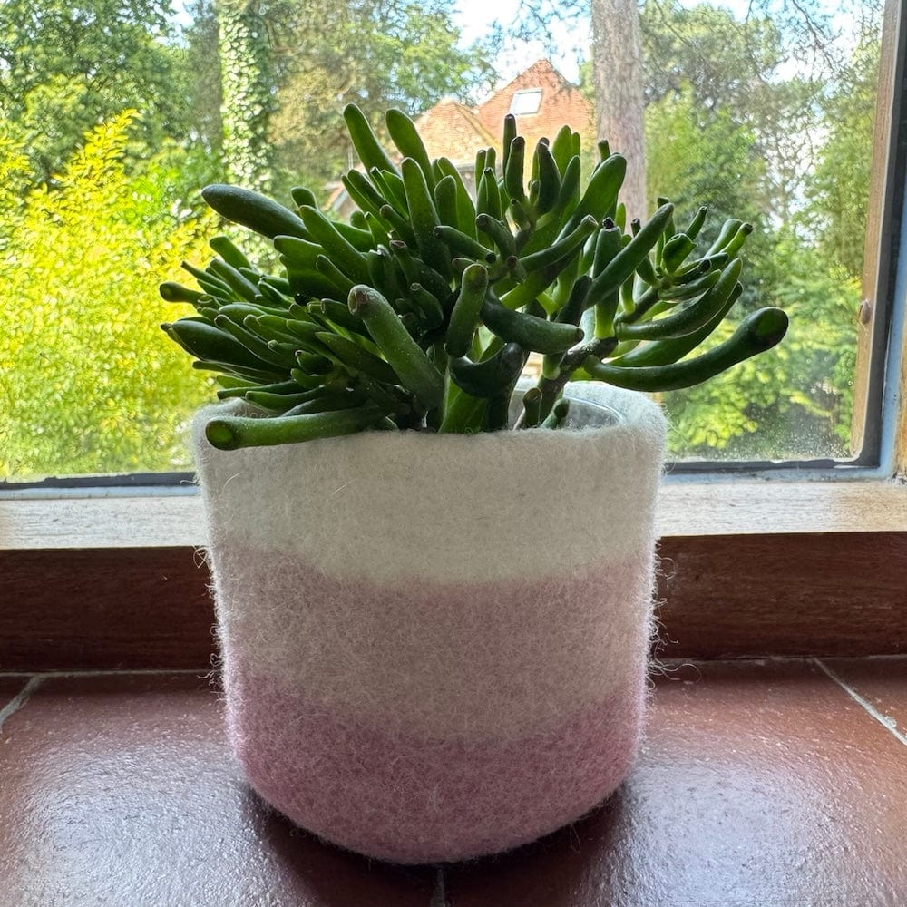 Striped Wool Felt Plant Pot Cover - Pinks - Image 3