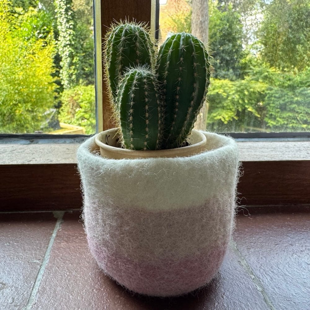 Striped Wool Felt Plant Pot Cover - Pinks - Image 5