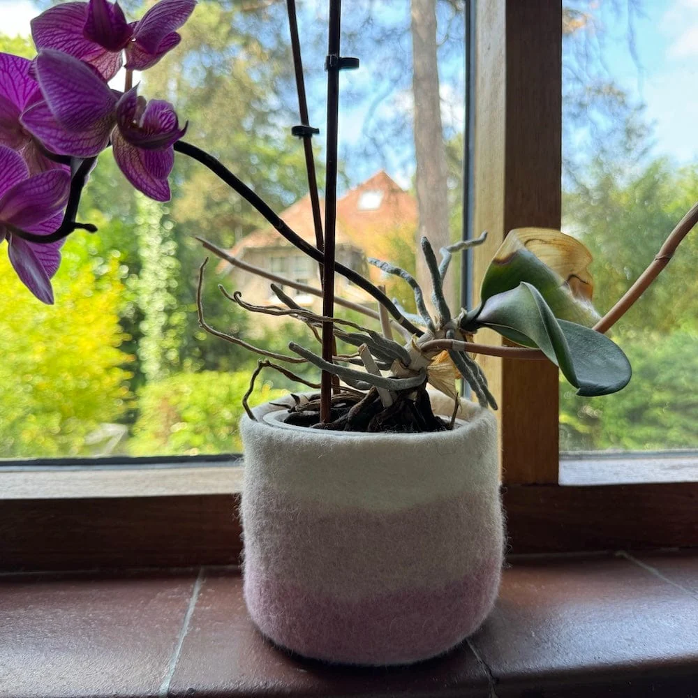 Striped Wool Felt Plant Pot Cover - Pinks - Image 6