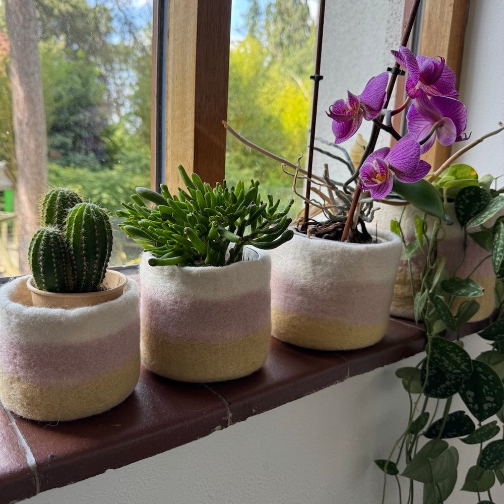 Striped Wool Felt Plant Pot Cover - Yellow & Pink - Image 2