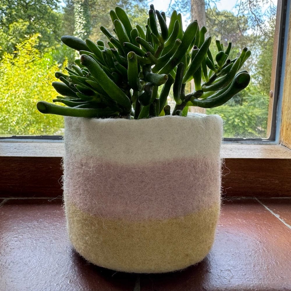Striped Wool Felt Plant Pot Cover - Yellow & Pink - Image 3
