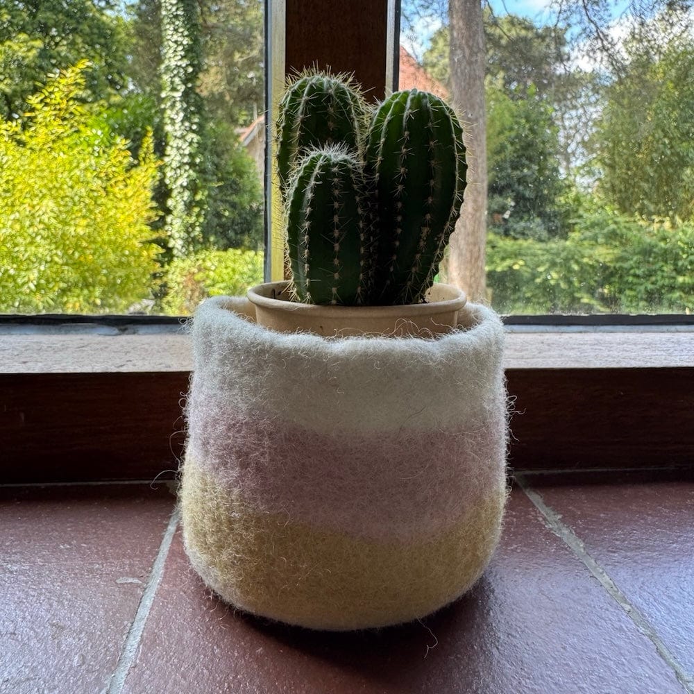 Striped Wool Felt Plant Pot Cover - Yellow & Pink - Image 5