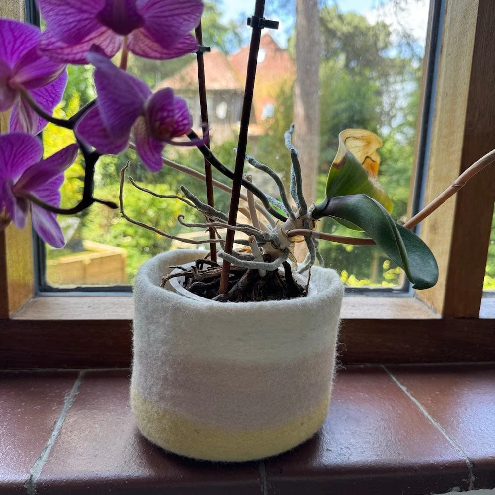 Striped Wool Felt Plant Pot Cover - Yellow & Pink - Image 6