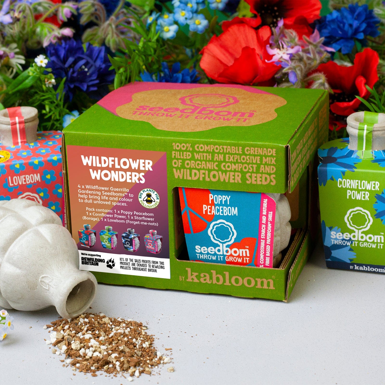 Wildflower Wonders Seedbom Gift Box - Image 2