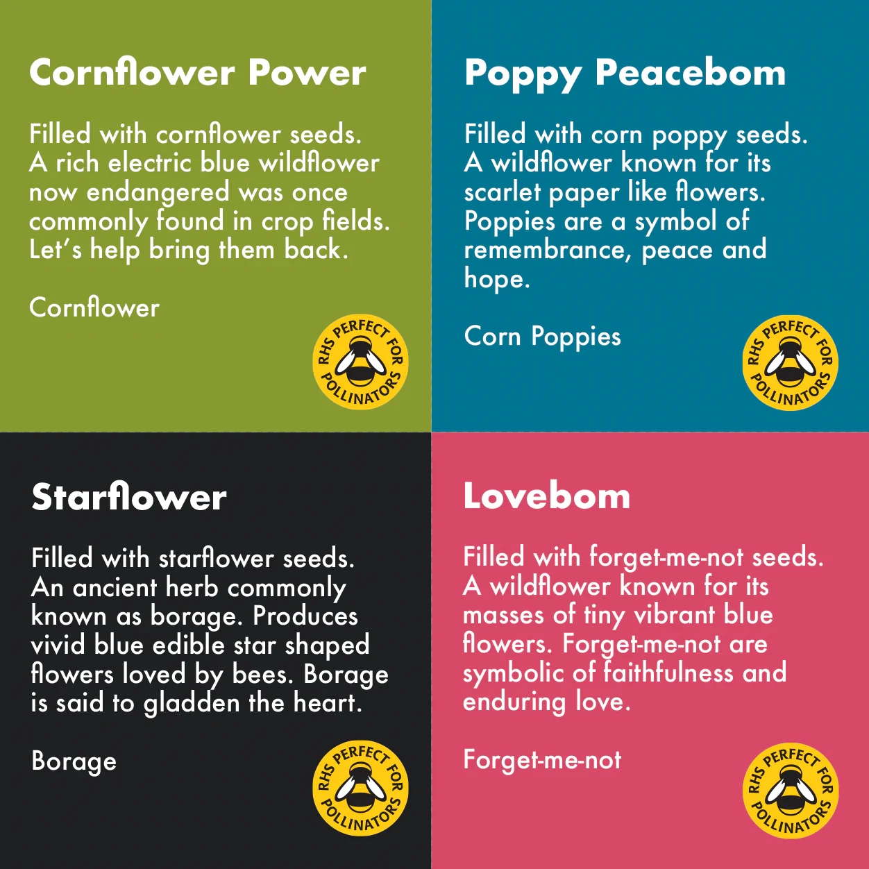 Wildflower Wonders Seedbom Gift Box - Image 6