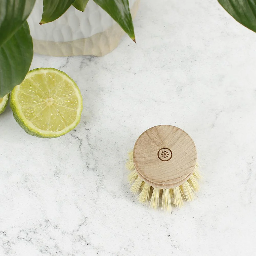 Wooden Replacement Head for Dish Brush with Plant Based Bristles - Image 3